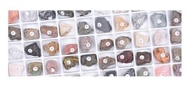Kolekcja skał i minerałów 50szt.
