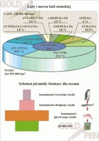 Ekosystem mórz i oceanów zestaw foliogramów