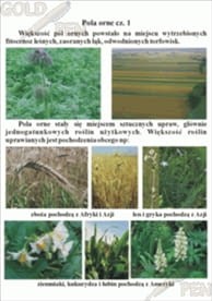 Ekosystem pól i łąk zestaw foliogramów