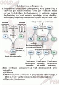 Genetyka zestaw foliogramów