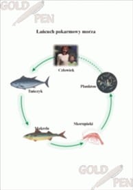 Parki narodowe Polski zestaw foliogramów