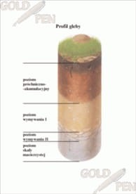 Recykling zestaw foliogramów