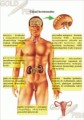 4a05c6ec2c9a4c328a0e5904137bb520.jpg
