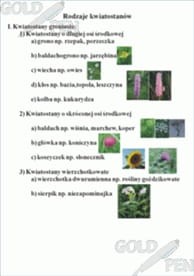 Świat roślin zestaw foliogramów