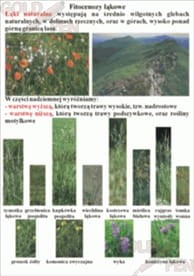 Woda, ścieki, odpady zestaw foliogramów