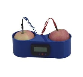  Zegar z baterią owocową