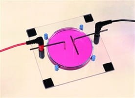 Z-w do demonstracji sił pola elektrostatycznego