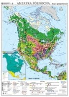 Ameryka Północna. Mapa gospodarcza