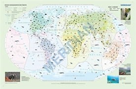 Krainy zoogeograficzne świata