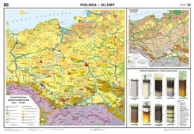 Polska. Gleby