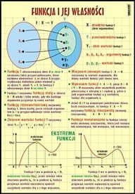 Funkcja i jej własności